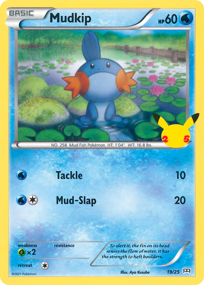Mudkip 19 Holo