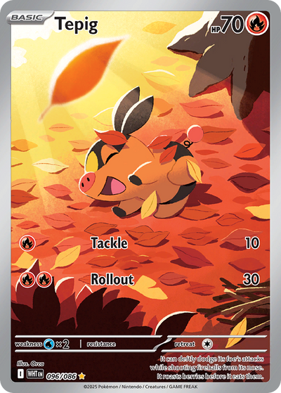 Tepig 96 Illustration Rare
